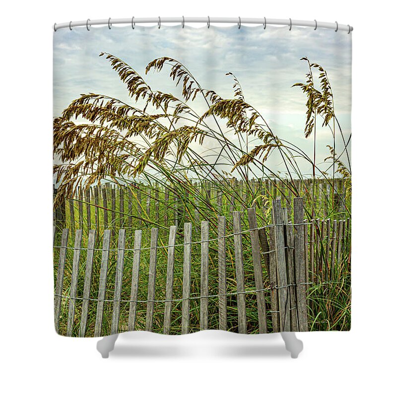 Ocean Shower Curtain featuring the photograph Avalon Sea Grass 2 by Donna Twiford