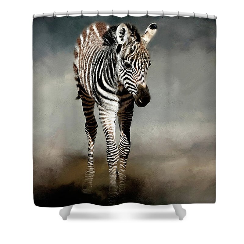 Zebra Shower Curtain featuring the photograph Baby Stripes by Donna Kennedy