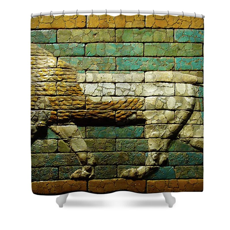 Babylonian Shower Curtain featuring the photograph Babylonian wall tiles of lion by Steve Estvanik