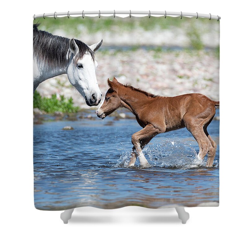 Wild Horses Shower Curtain featuring the photograph Baby's first river trip by Mary Hone