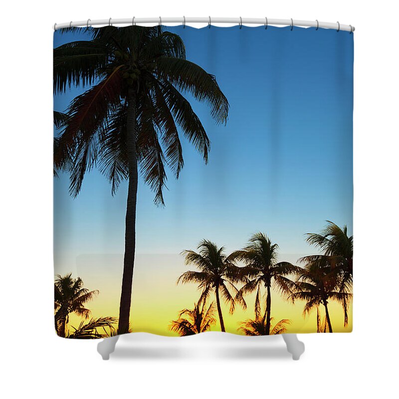 Tropical Tree Shower Curtain featuring the photograph Back Lit Palm Trees With Sunset In by Pawel.gaul