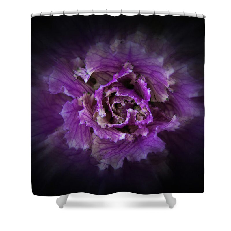 Abstract Shower Curtain featuring the photograph Backyard Flowers 42 Color Flow Version by Brian Carson