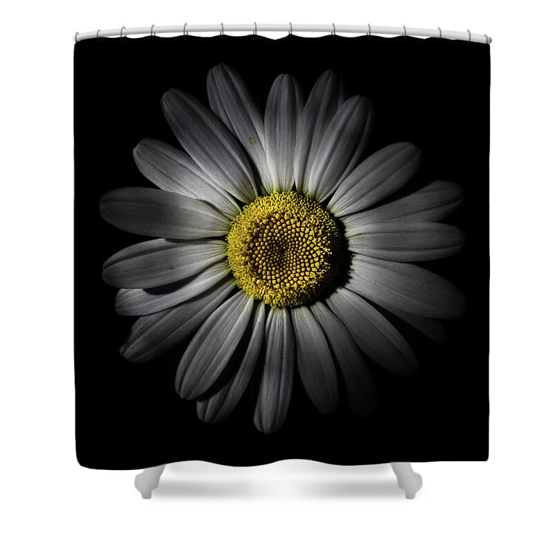 Brian Carson Shower Curtain featuring the photograph Backyard Flowers 52 Color Version by Brian Carson