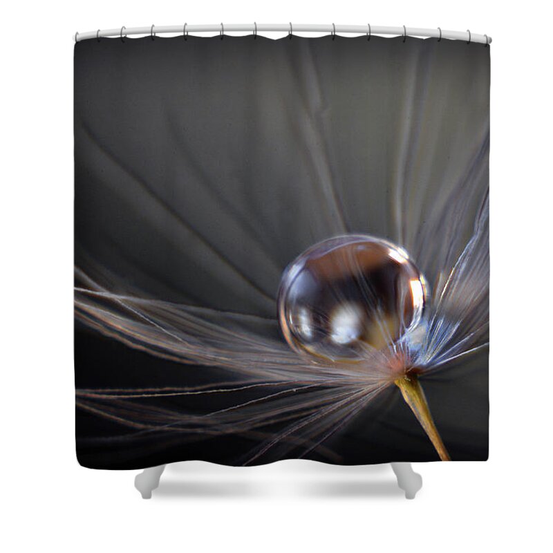 Macro Photograph Shower Curtain featuring the photograph Balanced by Michelle Wermuth