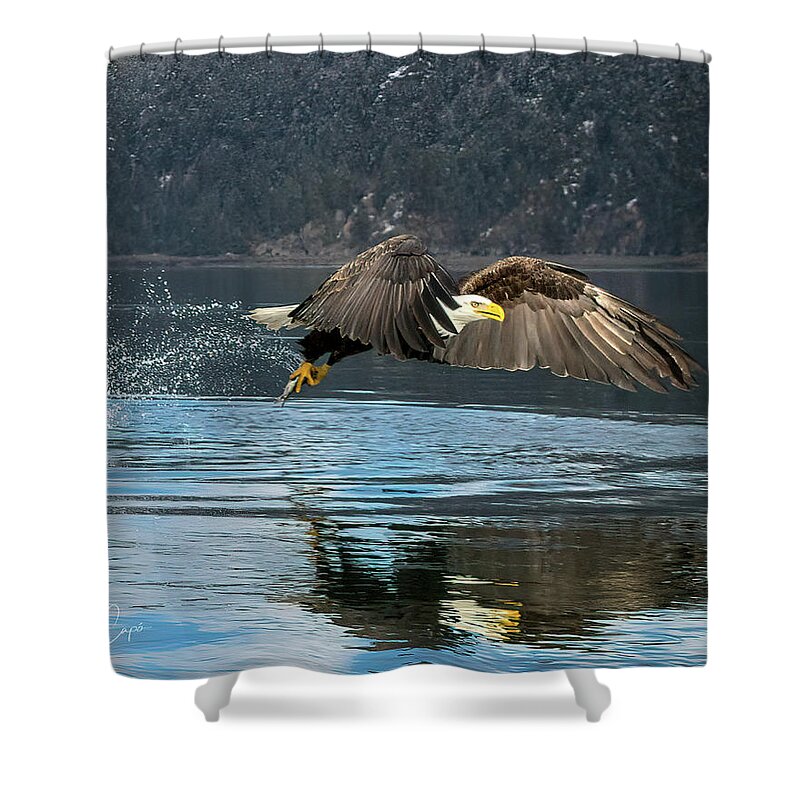 Bald Eagle Shower Curtain featuring the photograph Bald Eagle with Catch by James Capo