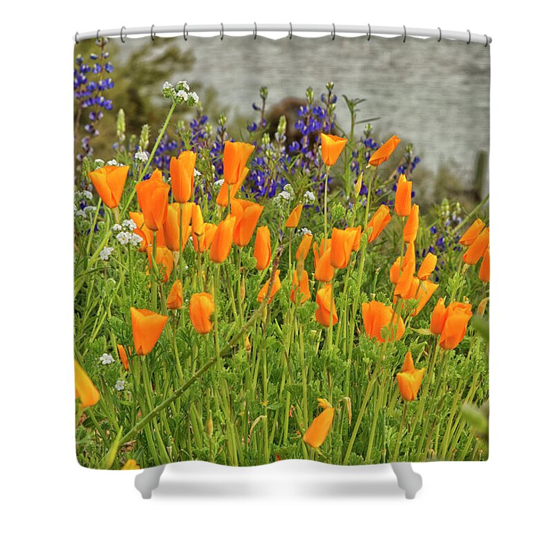 Bartlett Lake Shower Curtain featuring the photograph Barlett's Beauty by Tom Kelly