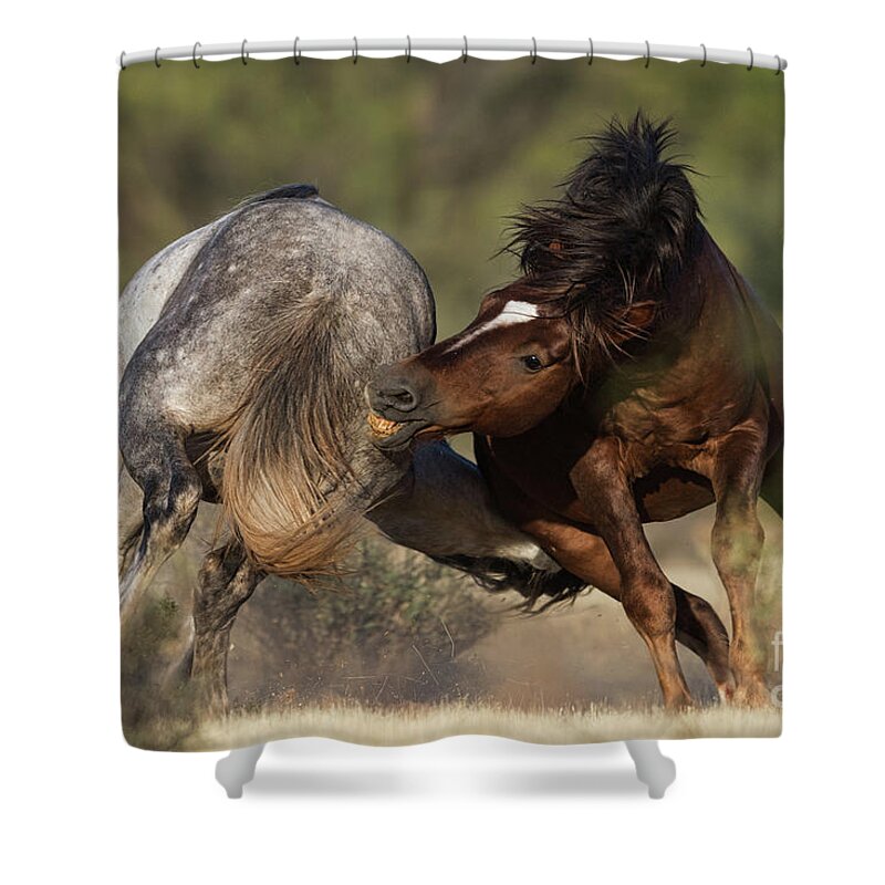 Battle Shower Curtain featuring the photograph Battle by Shannon Hastings