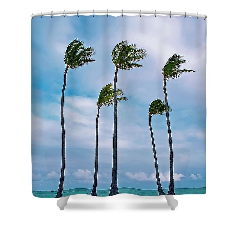Tranquility Shower Curtain featuring the photograph Beach And Coconut Trees by Photography By Roger Zayas©