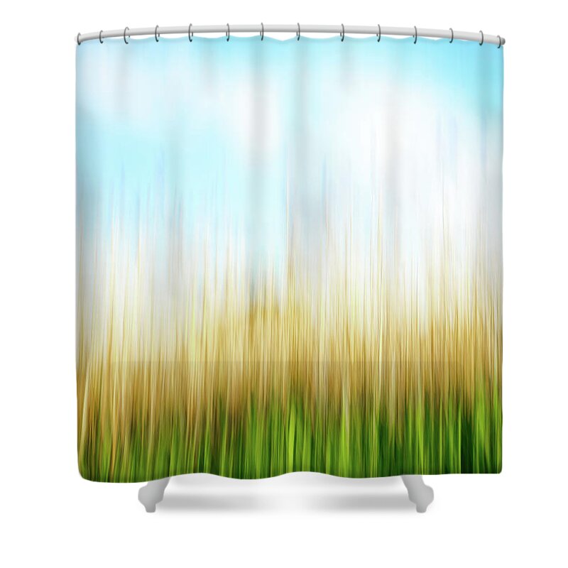 Beach Shower Curtain featuring the photograph Beach Reeds by Ann-Marie Rollo
