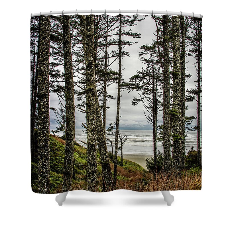 Trees Shower Curtain featuring the photograph Beach Trees by Jerry Cahill