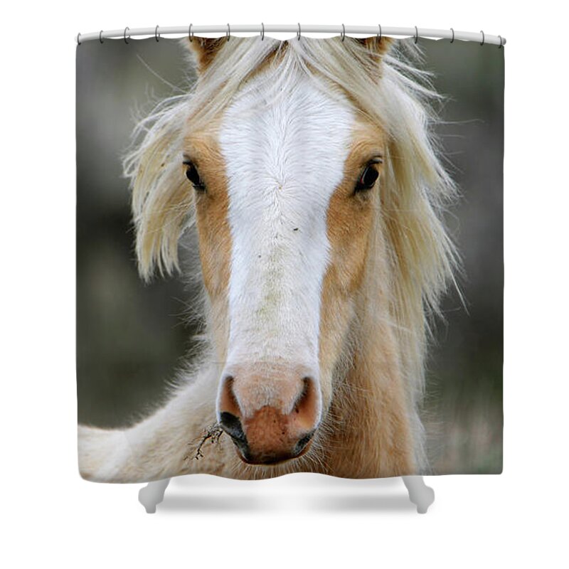 Denise Bruchman Photography Shower Curtain featuring the photograph Beautiful Blonde by Denise Bruchman