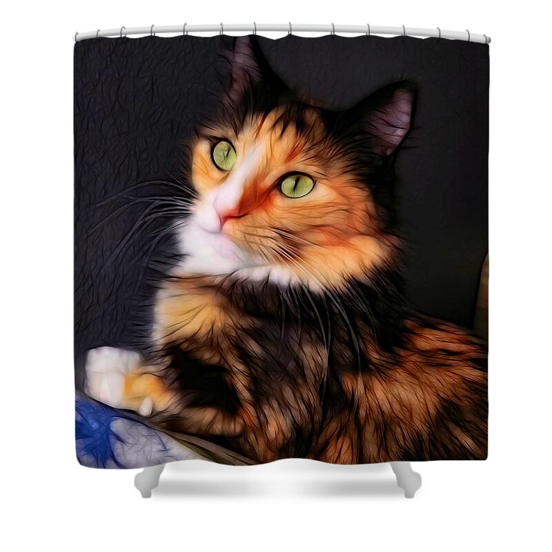 Cat Shower Curtain featuring the photograph Beautiful Cat by Stoney Lawrentz