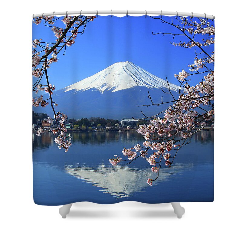 Tranquility Shower Curtain featuring the photograph Beautiful Cherry Blossoms With Mount by Photo By Prasit Chansareekorn
