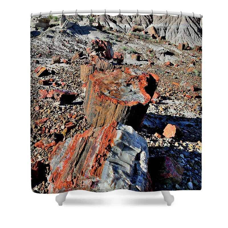 Petrified Forest National Park Shower Curtain featuring the photograph Beautiful Jasper Forest of Petrified Forest NP by Ray Mathis