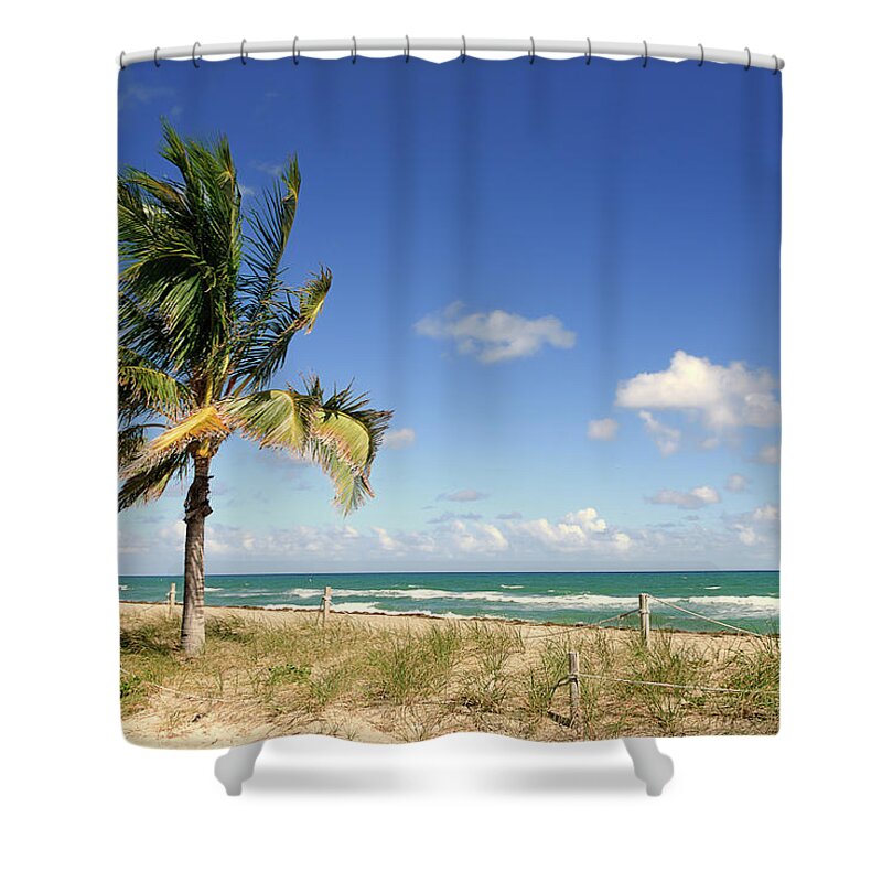 Tropical Tree Shower Curtain featuring the photograph Beautiful Landscape View Of Fort by Chang