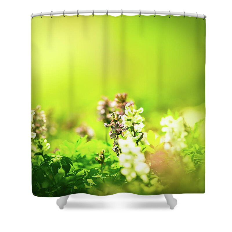 Environmental Conservation Shower Curtain featuring the photograph Beautiful Nature by Jeja
