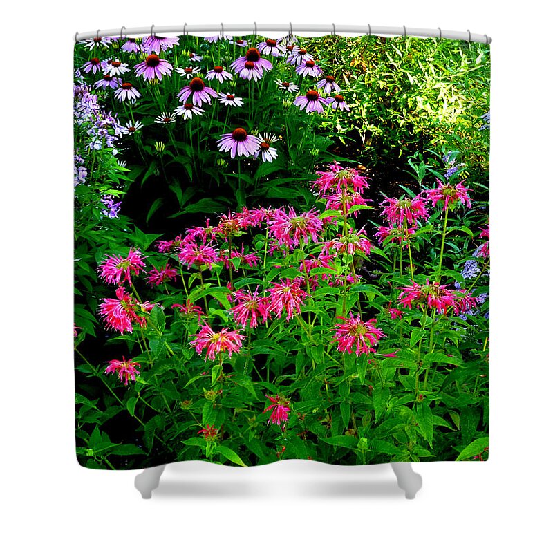 Bee Balm Shower Curtain featuring the photograph Bee Balm, Dark Edition by Mike McBrayer