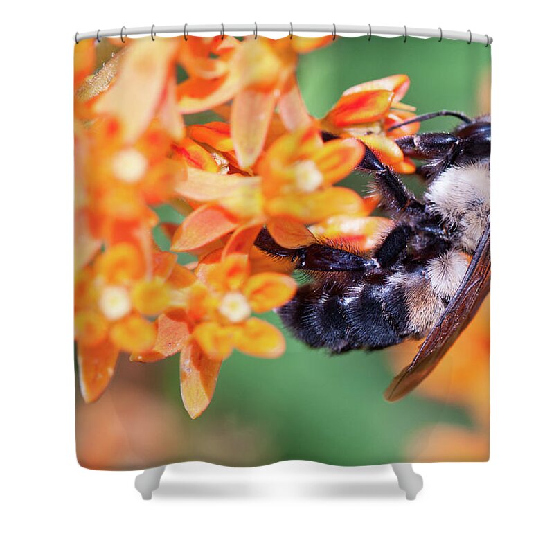 Flower Shower Curtain featuring the photograph Bee by Minnie Gallman