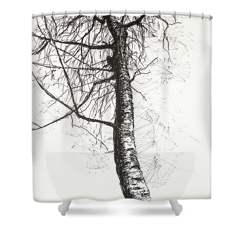 Beech In Early Spring Shower Curtain featuring the drawing Beech in early spring by Hans Egil Saele