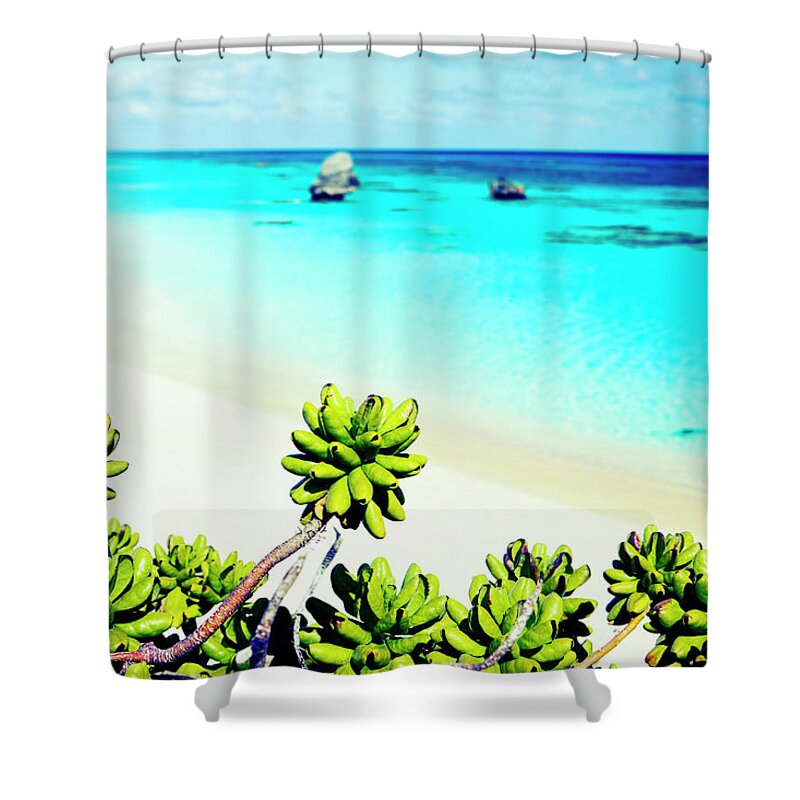 Estock Shower Curtain featuring the digital art Bermuda, Warwick Parish, South Shore Park, Atlantic Ocean, Warwick Long Bay by Massimo Ripani
