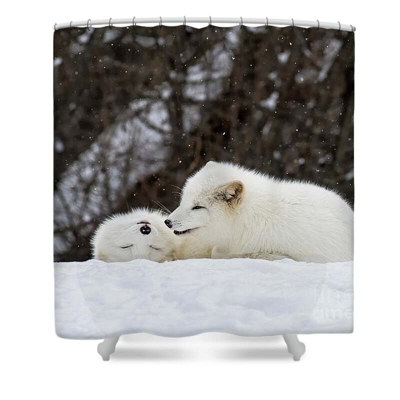 Festblues Shower Curtain featuring the photograph Bff... by Nina Stavlund