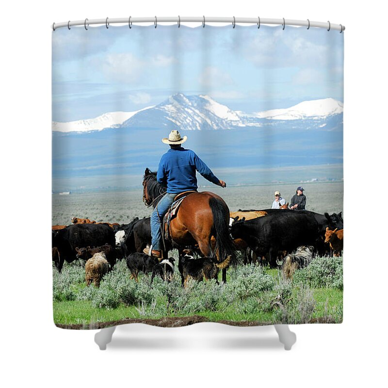Horse Shower Curtain featuring the photograph Big Cattle Drive by Cgbaldauf