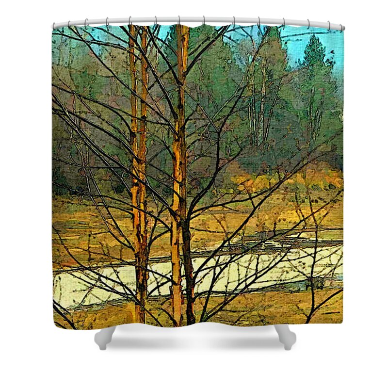 Two Shower Curtain featuring the photograph Birch Pair by Robert Bissett