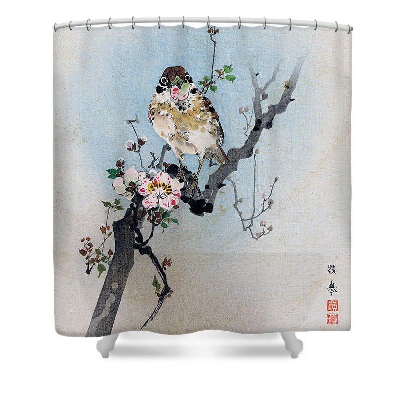 Rioko Shower Curtain featuring the painting Bird and Petal by Rioko