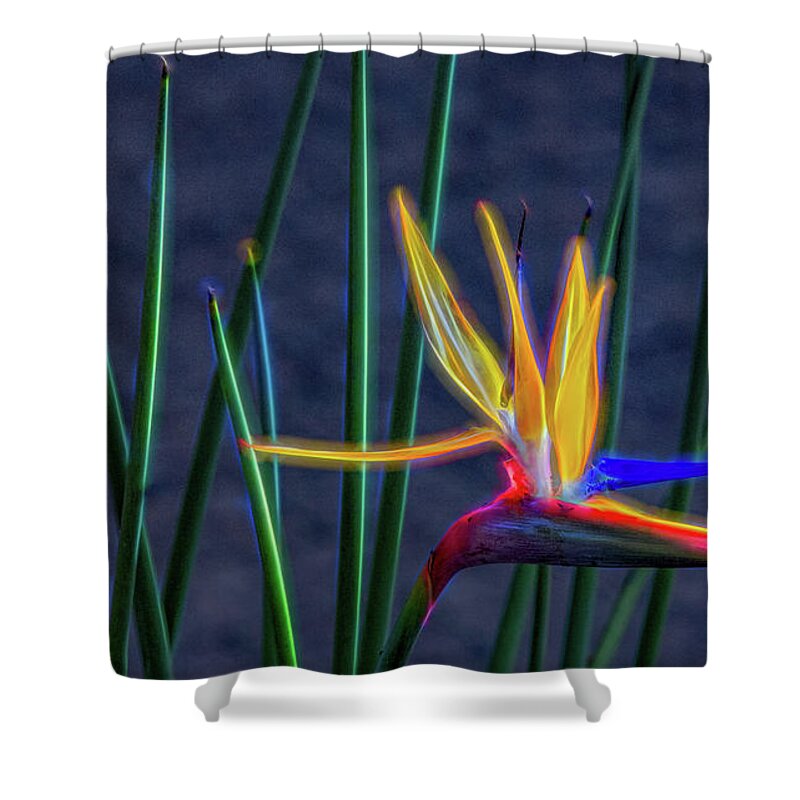 Bird Of Paradise Shower Curtain featuring the photograph Bird of Paradise, Electrified Abstract by Marcy Wielfaert