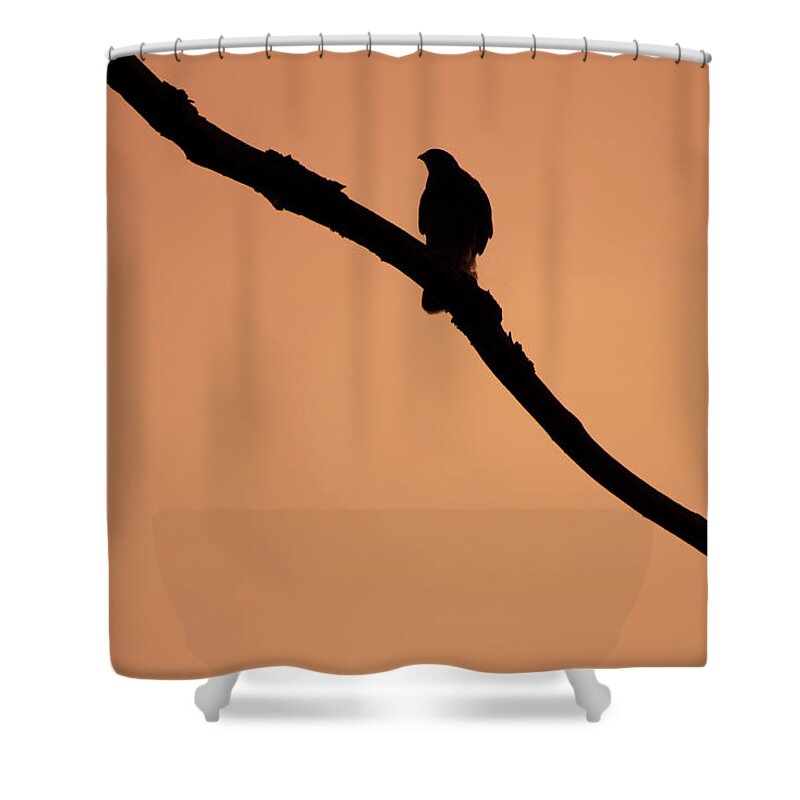 Bird Shower Curtain featuring the digital art Bird on a Branch by Geoff Jewett