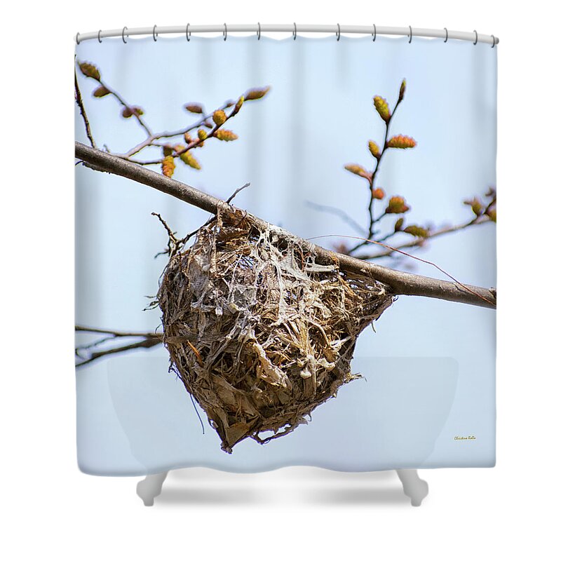 Birds Nest Shower Curtain featuring the photograph Birds Nest by Christina Rollo