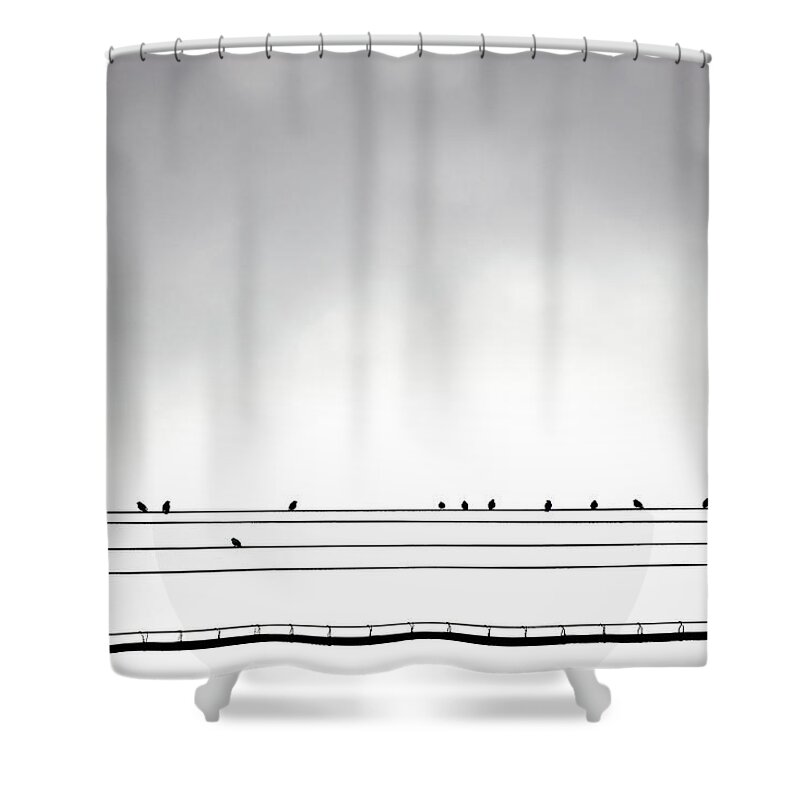In A Row Shower Curtain featuring the photograph Birds On A Midwood Wire by Joseph O. Holmes / Portfolio.streetnine.com