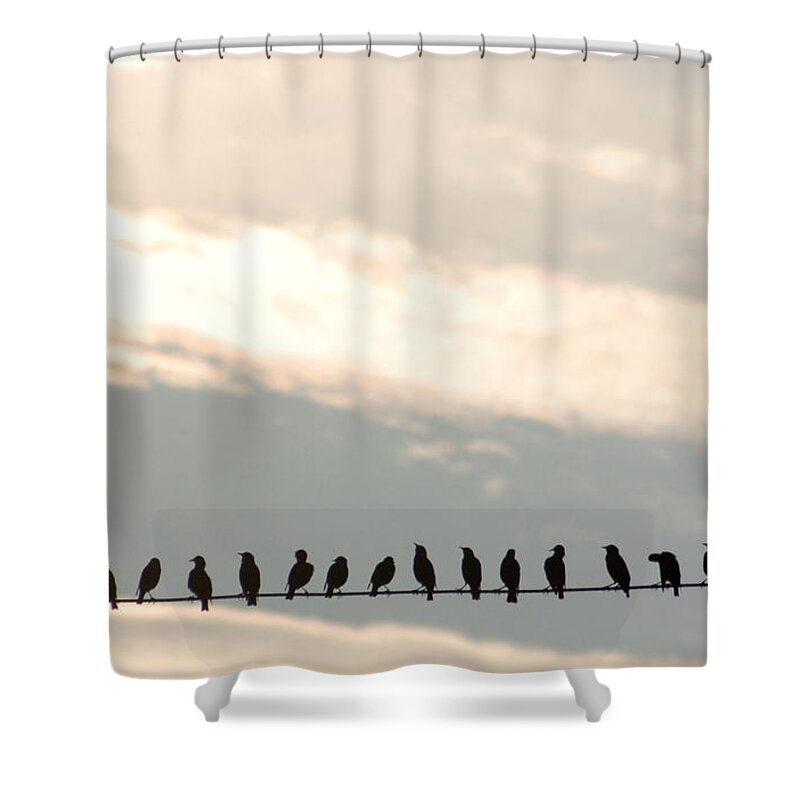 In A Row Shower Curtain featuring the photograph Birds On A Wire by Jessica Kiser
