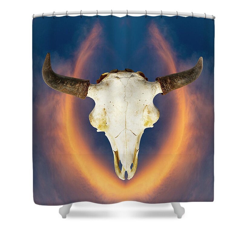 Kansas Shower Curtain featuring the photograph Bison Skull 001 by Rob Graham