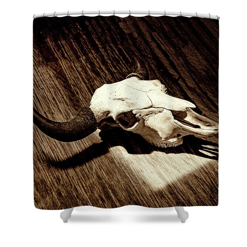 Kansas Shower Curtain featuring the photograph Bison Skull 006 by Rob Graham