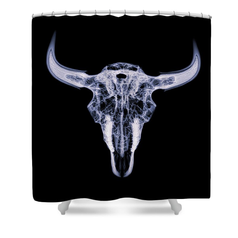 Kansas Shower Curtain featuring the photograph Bison skull x-ray 01 by Rob Graham