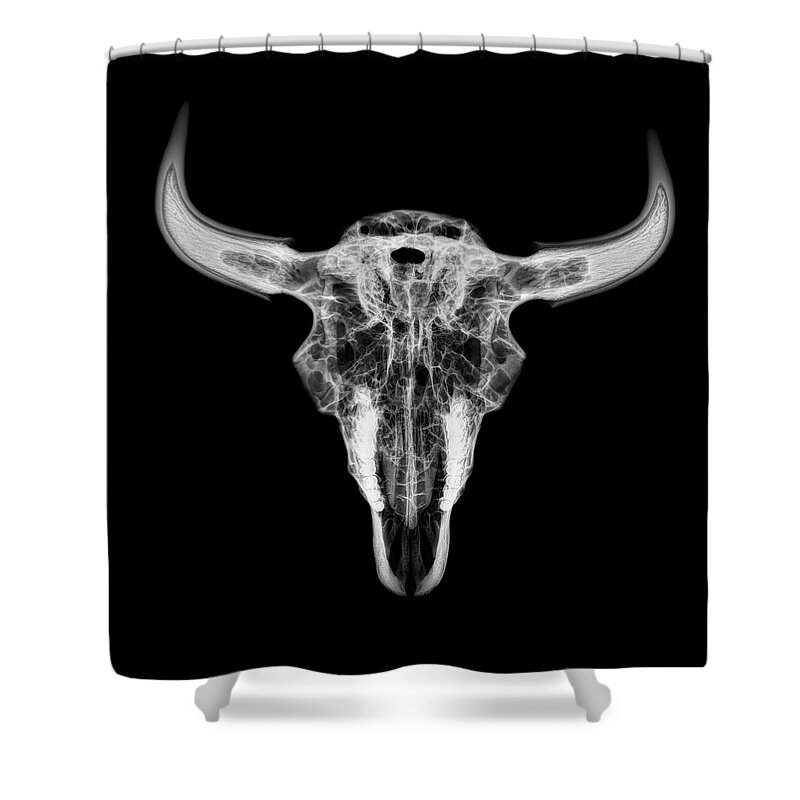 Kansas Shower Curtain featuring the photograph Bison skull x-ray 01bw by Rob Graham