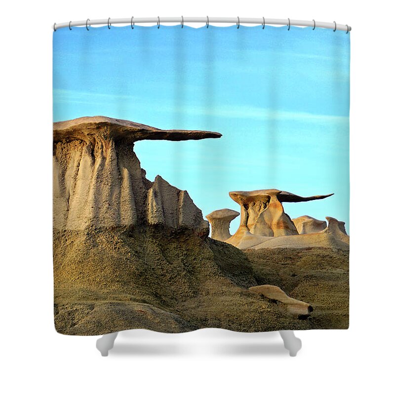 Bisti Shower Curtain featuring the photograph Bisti Wings 01 by JustJeffAz Photography