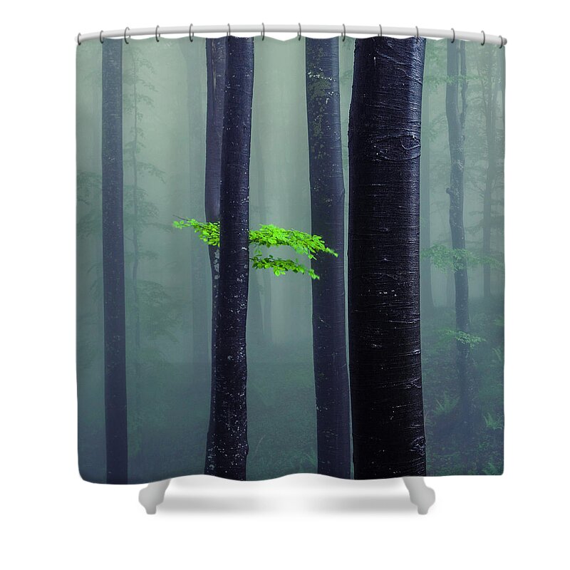 Bit Of Green Shower Curtain for Sale by Evgeni Dinev