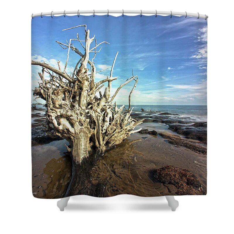 Ocean Shower Curtain featuring the photograph Black Rock Find by Robert Och
