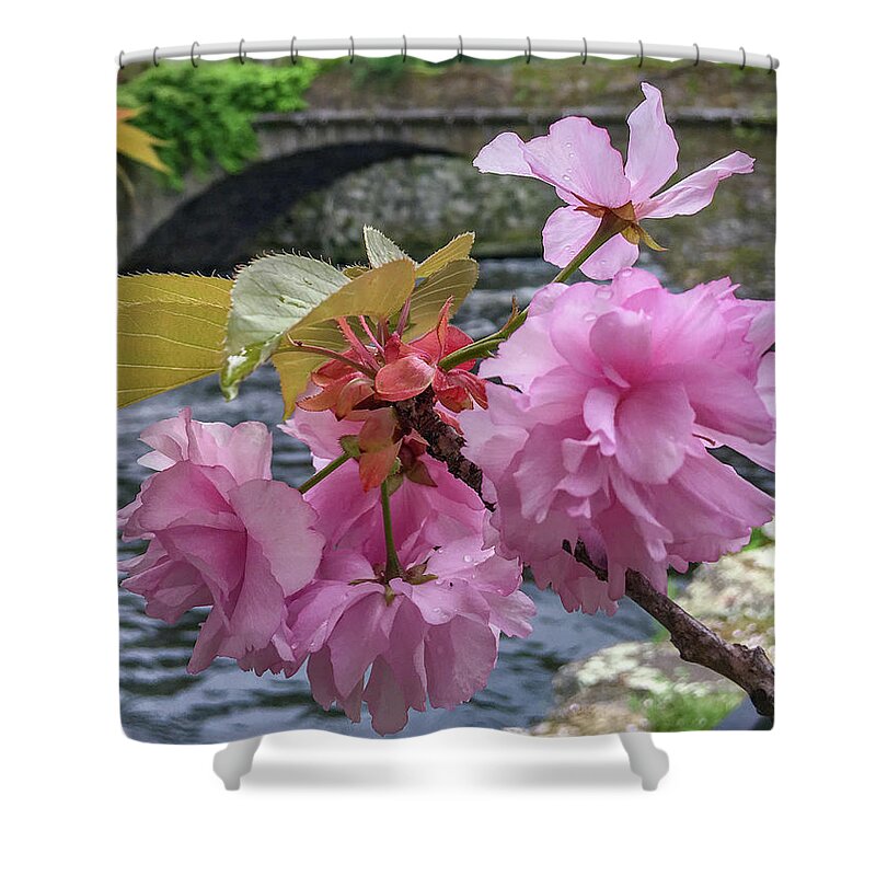 Willimantic Shower Curtain featuring the photograph Beautiful Blossom by Veterans Aerial Media LLC