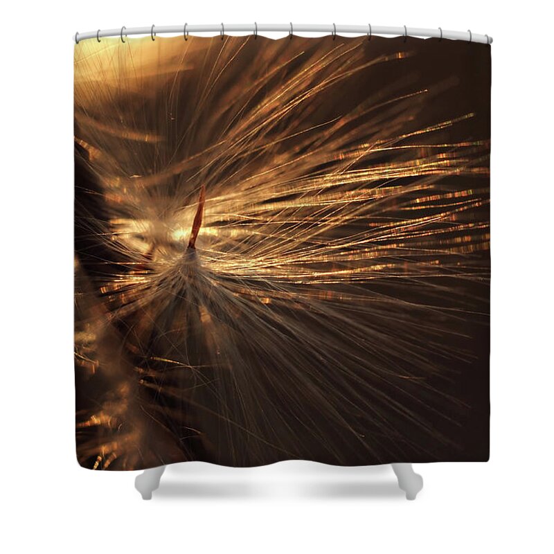 Windblown Shower Curtain featuring the photograph Blowing by Michelle Wermuth
