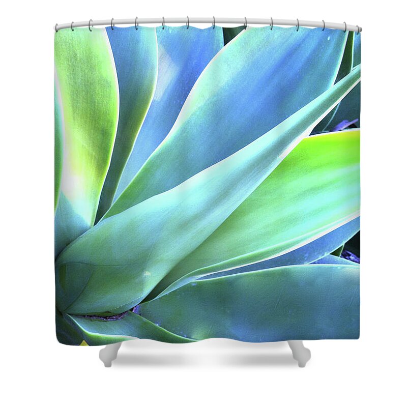 Agave Shower Curtain featuring the photograph Blue Agave by Denise Taylor