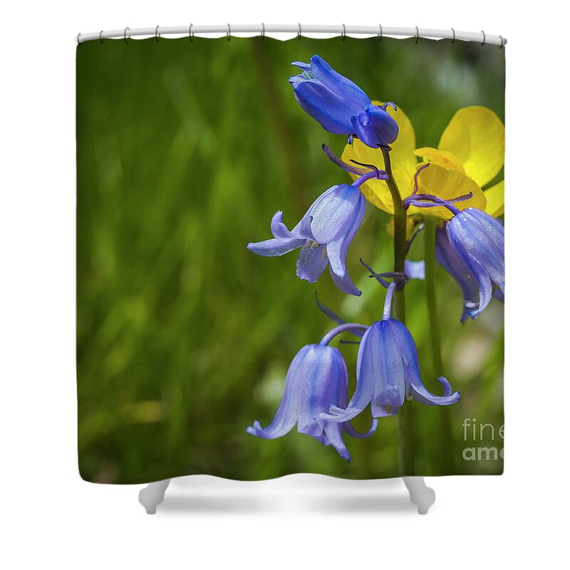 Boston Shower Curtain featuring the photograph Blue and yellow spring by Agnes Caruso