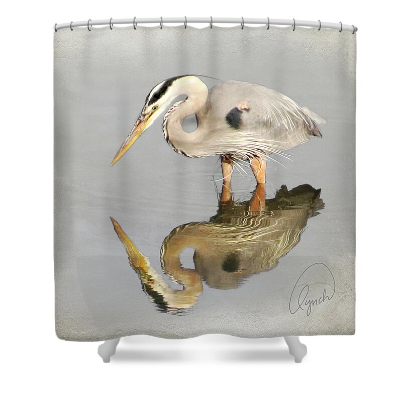 Bird Shower Curtain featuring the photograph Blue Heron 1 by Karen Lynch