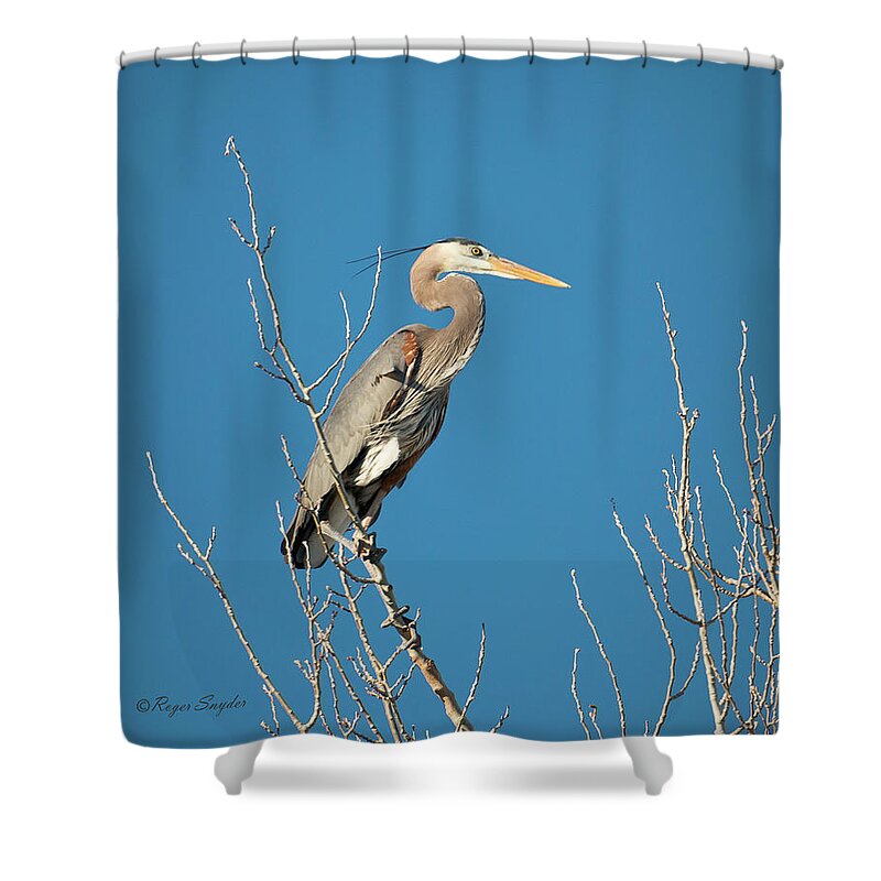 Beautiful Photos Shower Curtain featuring the photograph Blue Heron 19 by Roger Snyder