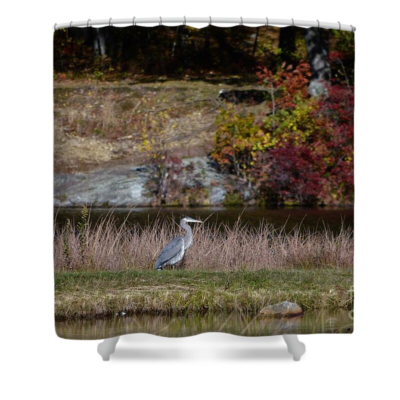Blue Heron Shower Curtain featuring the photograph Blue Heron In Watertown by Dani McEvoy