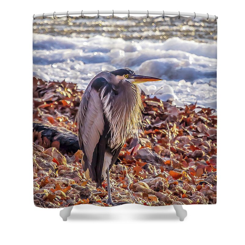 Grand Lake Shower Curtain featuring the photograph Blue Heron in Winter by David Wagenblatt