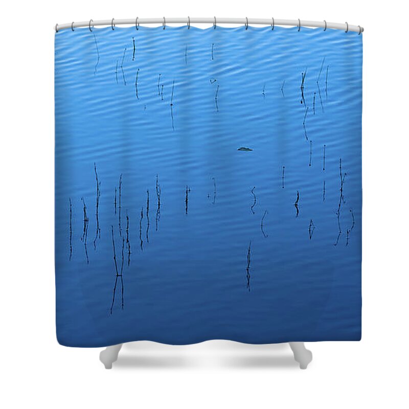 Reed Shower Curtain featuring the photograph Blue Hour Reeds on a Pond by William Dickman