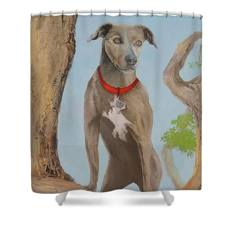 Dog Shower Curtain featuring the painting Blue Lacy Official State Dog of Texas by Daniel Adams